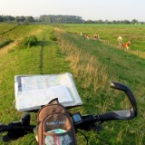 1908F 082 Auf dem Deich der Stoer